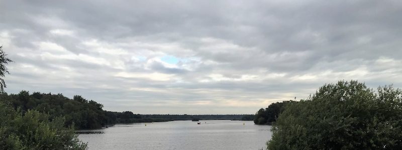 OSV-Schwimmer beim 19. Triathlon „Thülsfelder Talsperre“